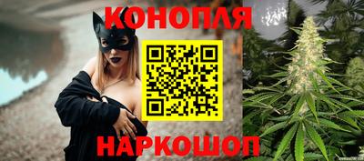 прущие грибы Анапа